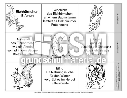 Leporello-Eichhörnchen-Elfchen-B-SW.pdf